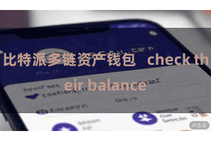 比特派多链资产钱包 check their balance