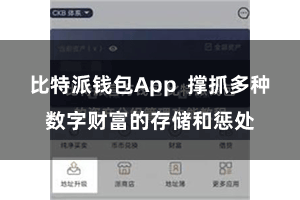 比特派钱包App  撑抓多种数字财富的存储和惩处