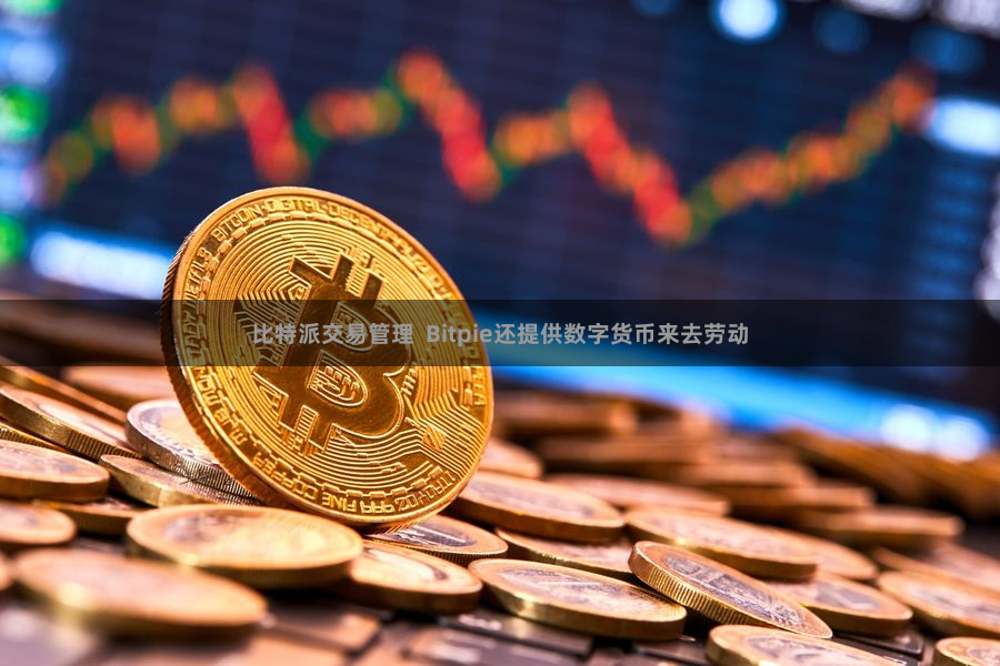 比特派交易管理  Bitpie还提供数字货币来去劳动