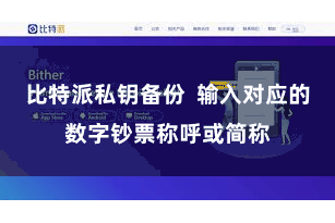 比特派私钥备份 输入对应的数字钞票称呼或简称