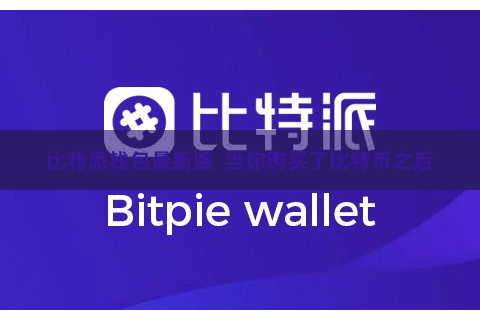 比特派钱包最新版  当你购买了比特币之后