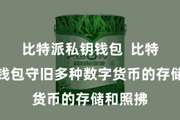 比特派私钥钱包  比特派手机钱包守旧多种数字货币的存储和照拂